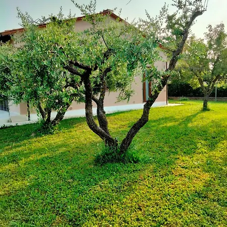 Il Melograno
